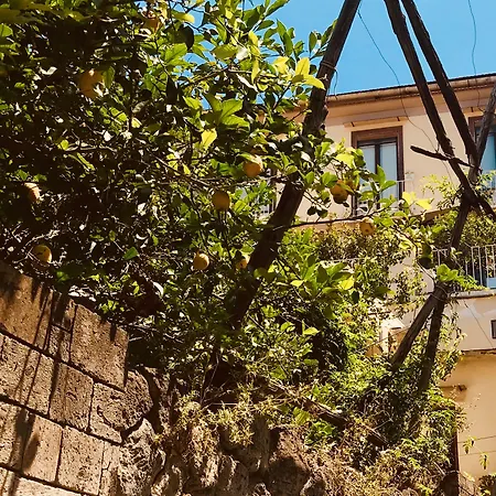 Accademia 39 Pensjonat