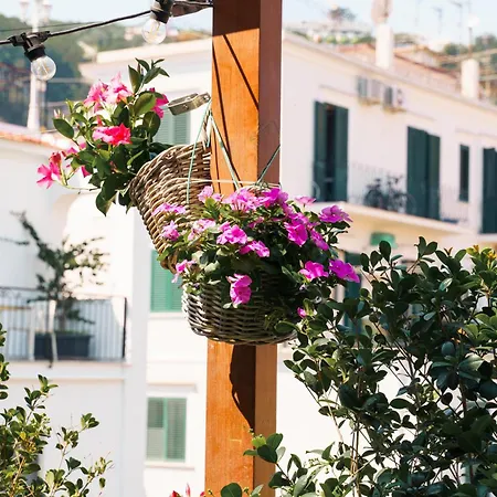 Accademia 39 Konukevi Sorrento