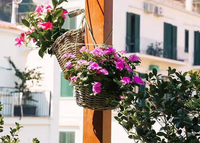 Accademia 39 Konukevi Sorrento