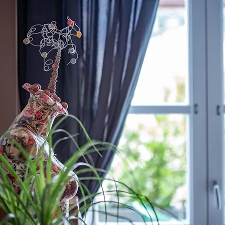 Accademia 39 סורנטו